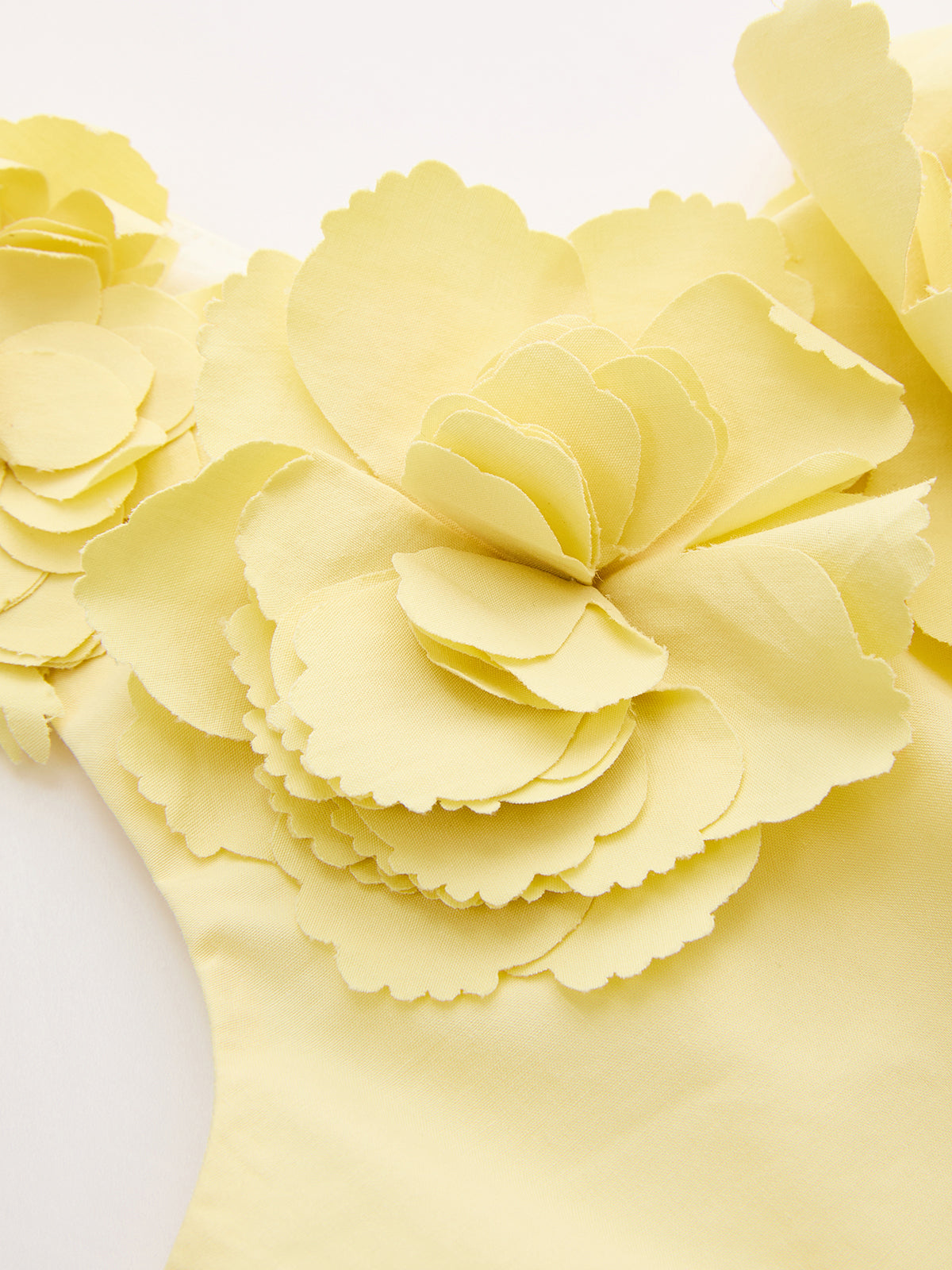 3D Floral Crop Top & Pleated Midi Skirt Set